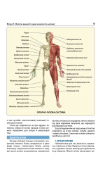 Екстрена допомога в разі ДТП. Посібник з порятунку Екстрена допомога в разі ДТП. Посібник з порятунку