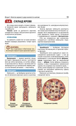 Екстрена допомога в разі ДТП. Посібник з порятунку Екстрена допомога в разі ДТП. Посібник з порятунку