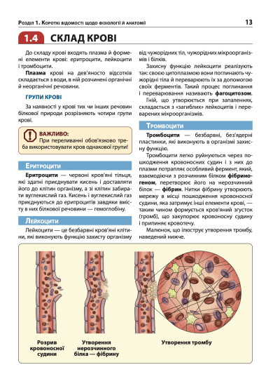 Екстрена допомога в разі ДТП. Посібник з порятунку Екстрена допомога в разі ДТП. Посібник з порятунку